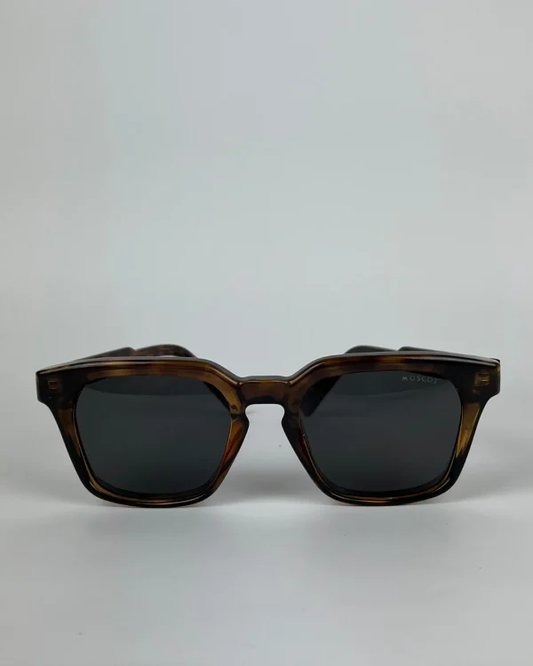 Moscot polarisé Marron Carré